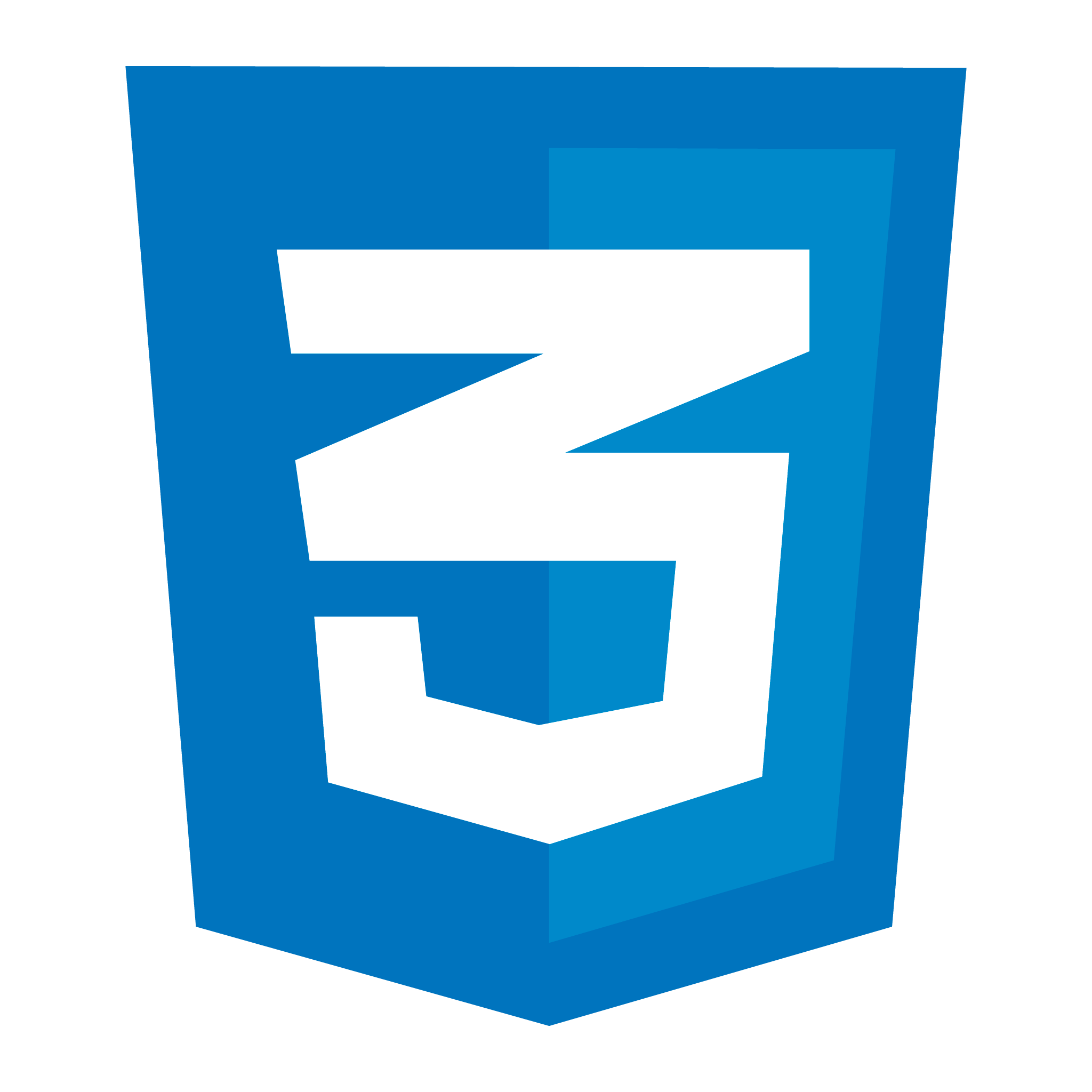 logo do CSS